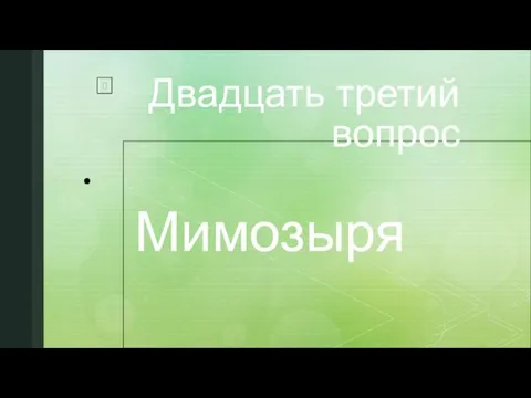 Двадцать третий вопрос Мимозыря