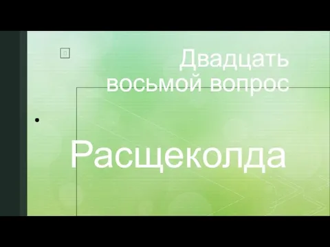 Двадцать восьмой вопрос Расщеколда