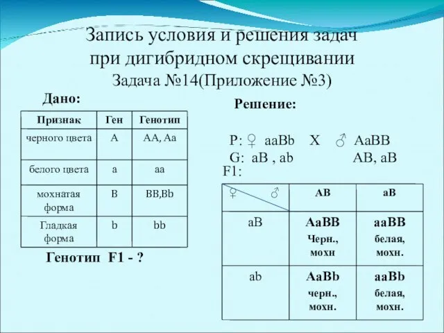 Запись условия и решения задач при дигибридном скрещивании Задача №14(Приложение №3)‏ Решение: