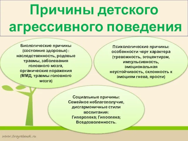 Биологические причины(состояние здоровья) : наследственность, родовые травмы, заболевания головного мозга, органические поражения