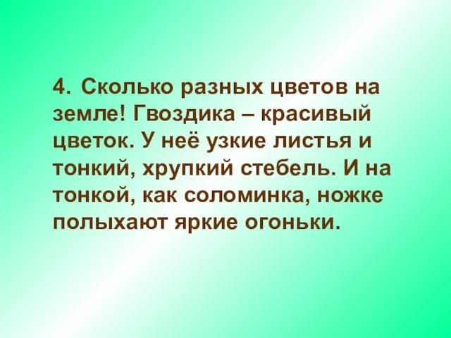 4. Сколько разных цветов на земле! Гвоздика – красивый цветок. У неё