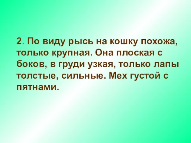 2. По виду рысь на кошку похожа, только крупная. Она плоская с