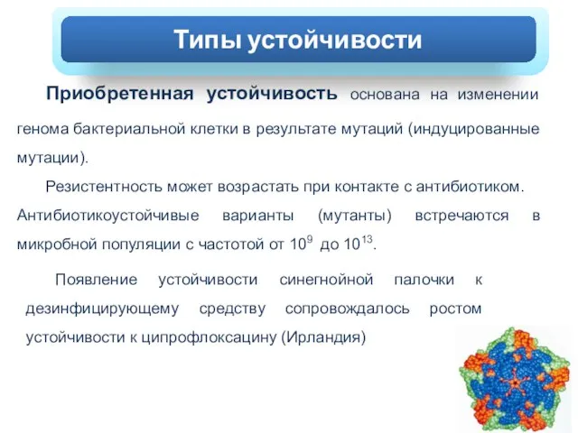 ХОЛЕРА Приобретенная устойчивость основана на изменении генома бактериальной клетки в результате мутаций