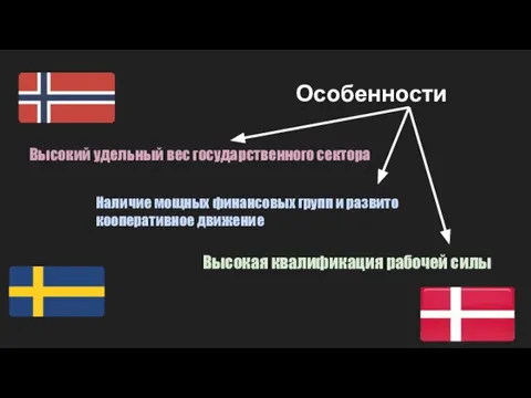 Особенности Высокий удельный вес государственного сектора Наличие мощных финансовых групп и развито