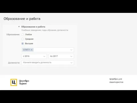 Церебро для Авантюристов Образование и работа