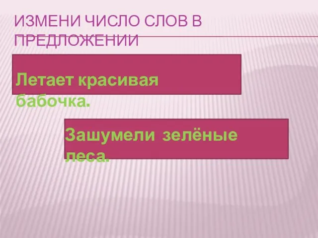 ИЗМЕНИ ЧИСЛО СЛОВ В ПРЕДЛОЖЕНИИ Летает красивая бабочка. Зашумели зелёные леса.