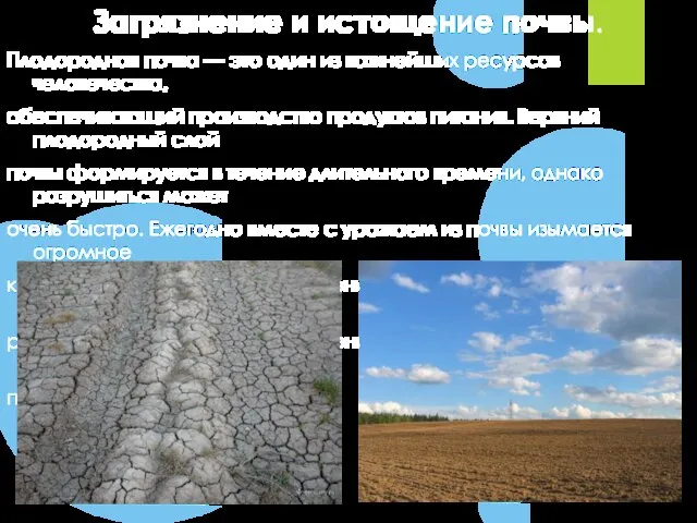 Загрязнение и истощение почвы. Плодородная почва — это один из важнейших ресурсов