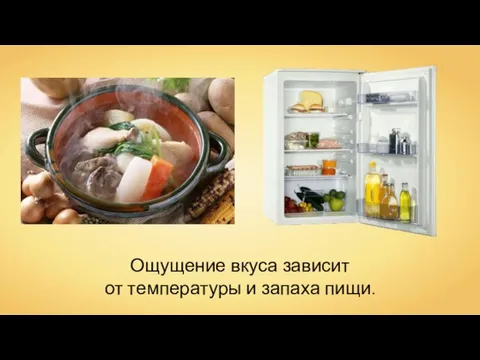 Ощущение вкуса зависит от температуры и запаха пищи.