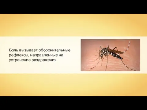 Боль вызывает оборонительные рефлексы, направленные на устранение раздражения.