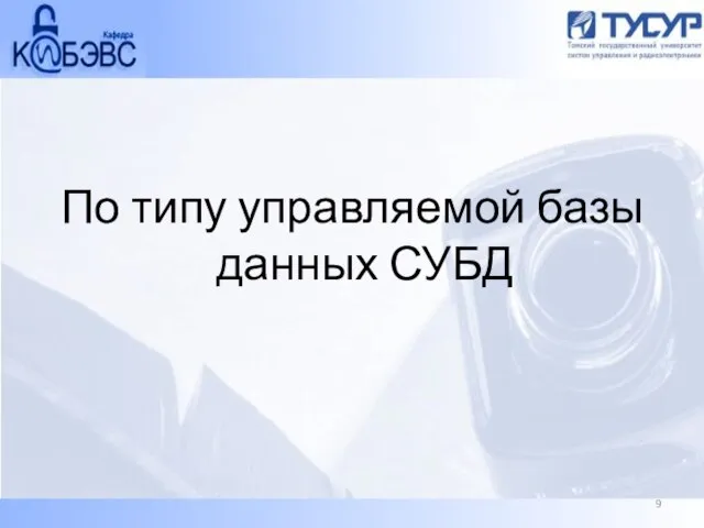 По типу управляемой базы данных СУБД