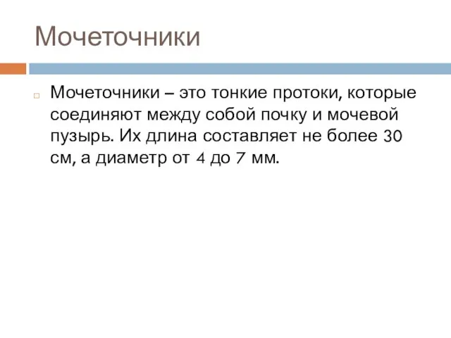 Мочеточники Мочеточники – это тонкие протоки, которые соединяют между собой почку и