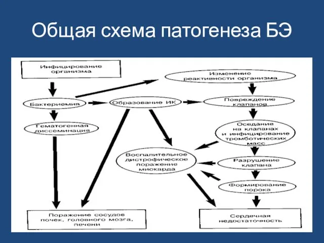 Общая схема патогенеза БЭ