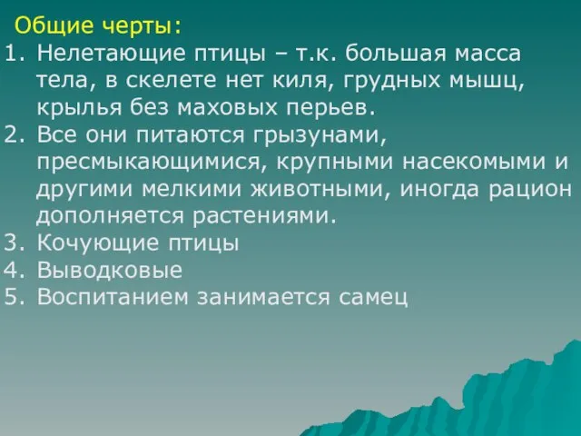 Общие черты: Нелетающие птицы – т.к. большая масса тела, в скелете нет