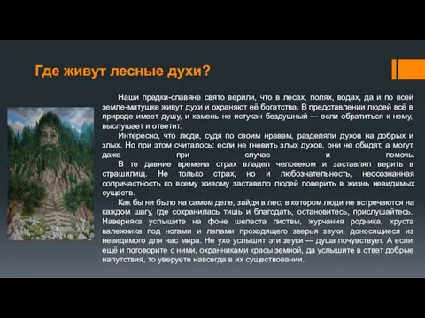 Где живут лесные духи? Наши предки-славяне свято верили, что в лесах, полях,