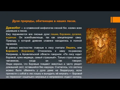 Духи природы, обитающие в наших лесах. Древобог — в славянской мифологии лесной