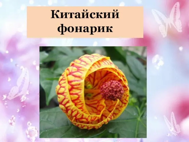 Китайский фонарик