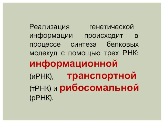 Реализация генетической информации происходит в процессе синтеза белковых молекул с помощью трех