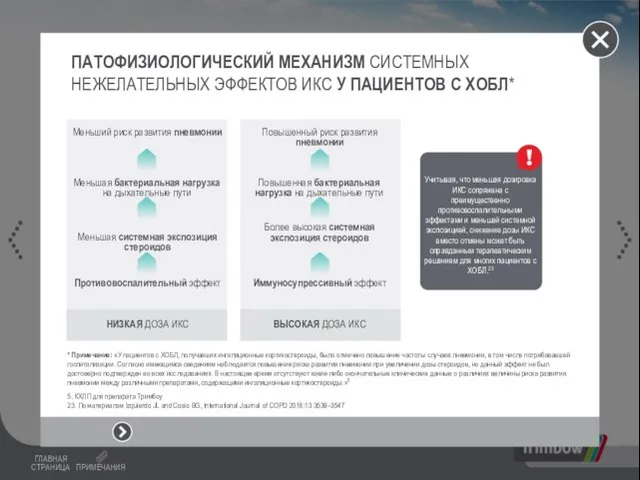 ПАТОФИЗИОЛОГИЧЕСКИЙ МЕХАНИЗМ СИСТЕМНЫХ НЕЖЕЛАТЕЛЬНЫХ ЭФФЕКТОВ ИКС У ПАЦИЕНТОВ С ХОБЛ* * Примечание: