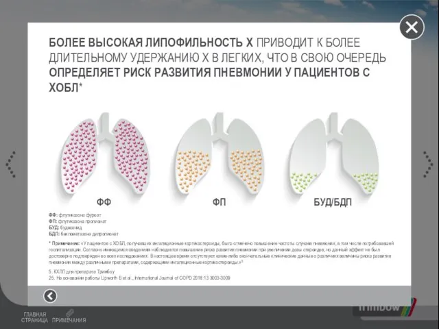 БОЛЕЕ ВЫСОКАЯ ЛИПОФИЛЬНОСТЬ X ПРИВОДИТ К БОЛЕЕ ДЛИТЕЛЬНОМУ УДЕРЖАНИЮ X В ЛЕГКИХ,