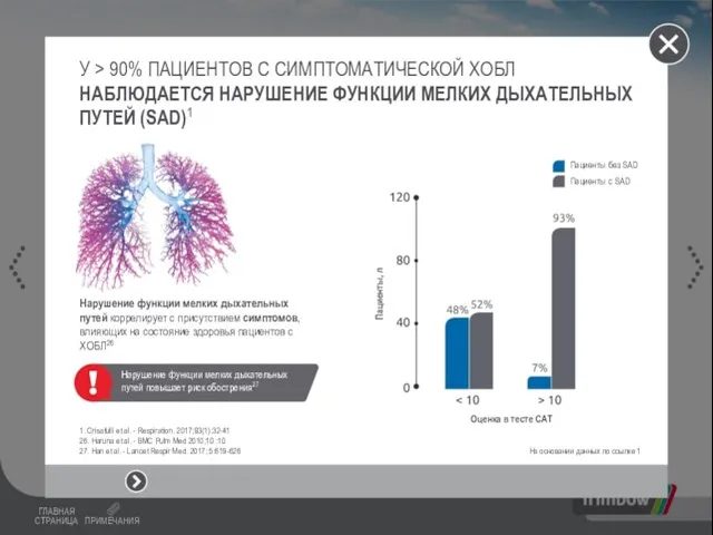 У > 90% ПАЦИЕНТОВ С СИМПТОМАТИЧЕСКОЙ ХОБЛ НАБЛЮДАЕТСЯ НАРУШЕНИЕ ФУНКЦИИ МЕЛКИХ ДЫХАТЕЛЬНЫХ