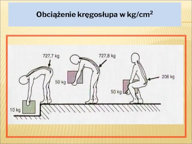 Obciążenie kręgosłupa w kg/cm2