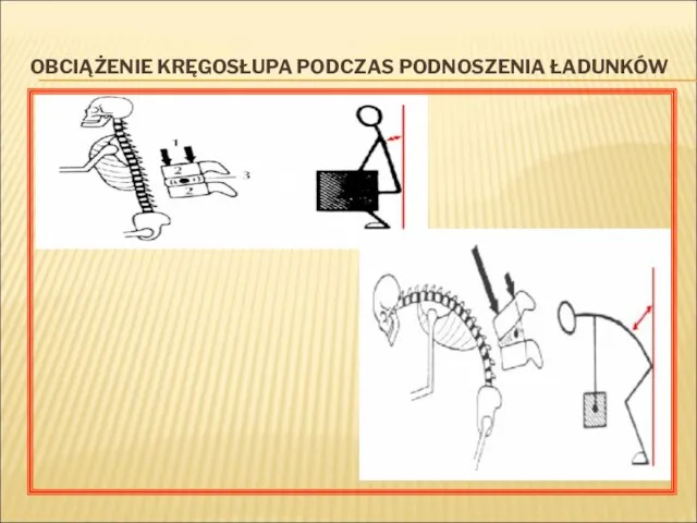 OBCIĄŻENIE KRĘGOSŁUPA PODCZAS PODNOSZENIA ŁADUNKÓW