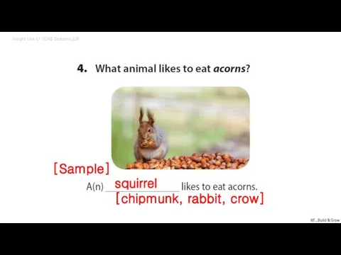 Insight Link L1 (CH3 Seasons_L9) squirrel [chipmunk, rabbit, crow] [Sample]