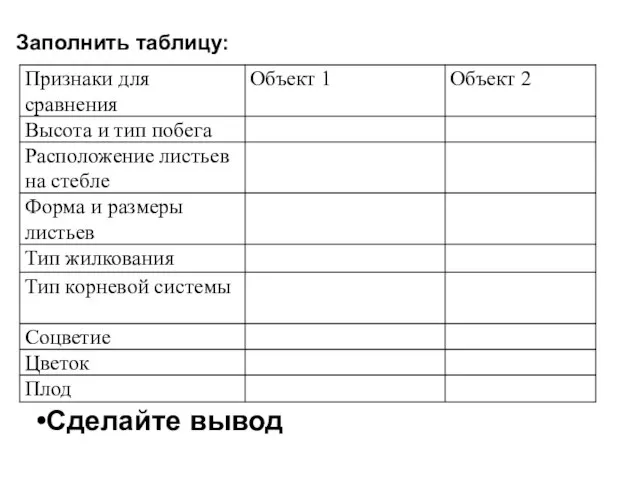 Заполнить таблицу: Сделайте вывод