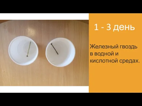 1 - 3 день Железный гвоздь в водной и кислотной средах.