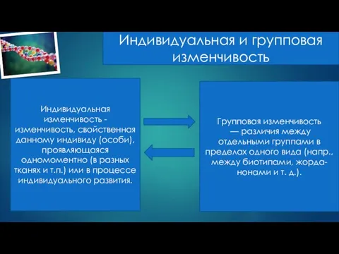 Индивидуальная и групповая изменчивость Индивидуальная изменчивость - изменчивость, свойственная данному индивиду (особи),