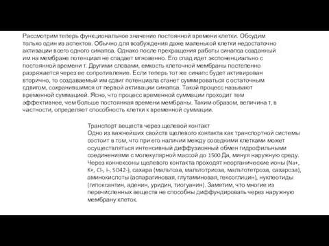 Рассмотрим теперь функциональное значение постоянной времени клетки. Обсудим только один из аспектов.