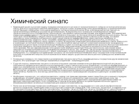 Химический синапс Химический синапс выполняет задачу передачи электрического сигнала от пресинаптического нейрона