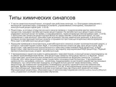 Типы химических синапсов У части синапсов ионный канал, который при действии лиганда,