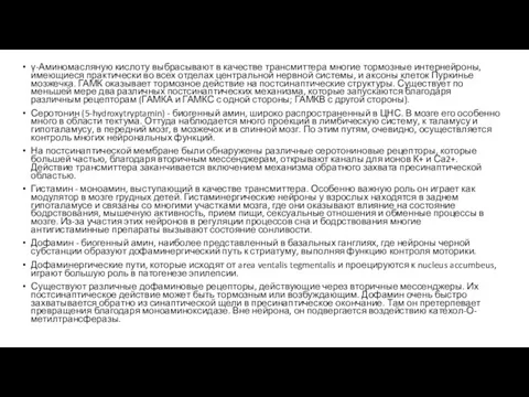 γ-Аминомасляную кислоту выбрасывают в качестве трансмиттера многие тормозные интернейроны, имеющиеся практически во