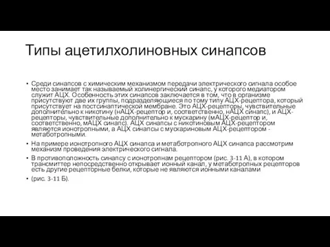 Типы ацетилхолиновных синапсов Среди синапсов с химическим механизмом передачи электрического сигнала особое