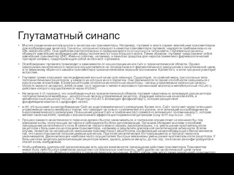 Глутаматный синапс Многие соединения используются в синапсах как трансмиттеры. Например, глутамат в