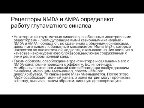 Рецепторы NMDA и AMPA определяют работу глутаматного синапса Некоторые из глутаматных синапсов,