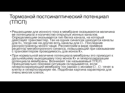 Тормозной постсинаптический потенциал (ТПСП) Решающими для ионного тока в мембране оказываются величина