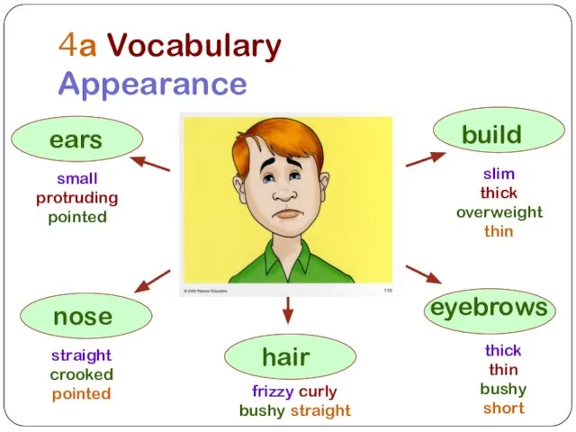 4a Vocabulary Appearance ears build nose small protruding pointed hair eyebrows straight