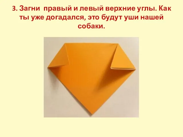 3. Загни правый и левый верхние углы. Как ты уже догадался, это будут уши нашей собаки.