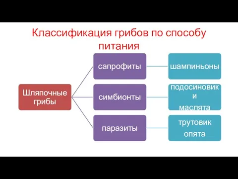 Классификация грибов по способу питания