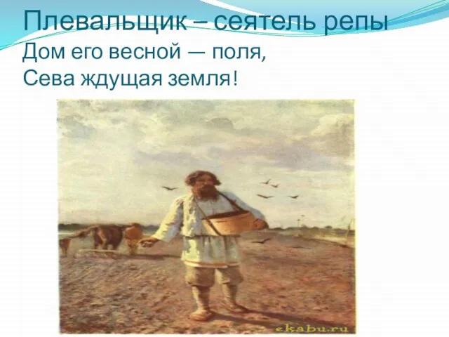 Плевальщик – сеятель репы Дом его весной — поля, Сева ждущая земля!