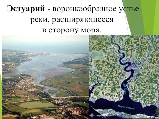 Эстуарий - воронкообразное устье реки, расширяющееся в сторону моря.