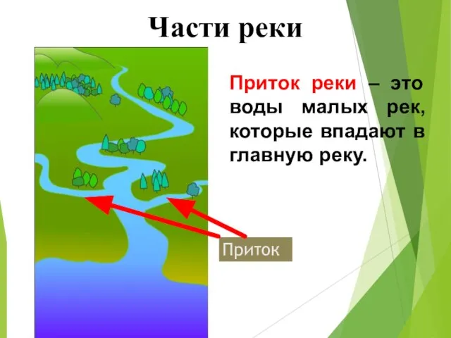 Части реки Приток реки – это воды малых рек, которые впадают в главную реку. Приток