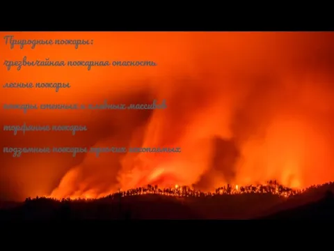 Природные пожары: чрезвычайная пожарная опасность лесные пожары пожары степных и хлебных массивов