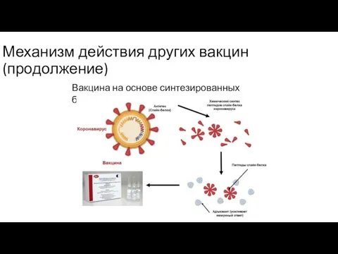 Механизм действия других вакцин (продолжение) Вакцина на основе синтезированных белков