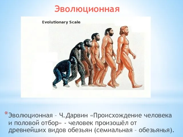 Эволюционная Эволюционная – Ч.Дарвин «Происхождение человека и половой отбор» - человек произошёл
