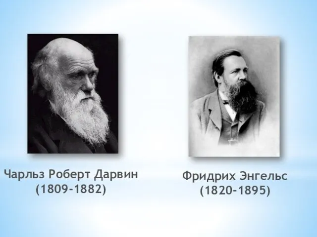 Чарльз Роберт Дарвин (1809-1882) Фридрих Энгельс (1820-1895)