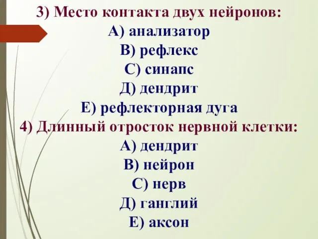 3) Место контакта двух нейронов: А) анализатор В) рефлекс С) синапс Д)