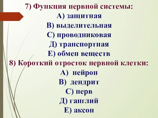 7) Функция нервной системы: А) защитная В) выделительная С) проводниковая Д) транспортная